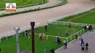 28.05.2023 - 5 скаковой день на Пятигорском ипподроме