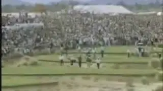 tiger woods signiture shots
