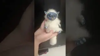 ЧУДИК ИЗ ОСТАТКОВ МЕХА