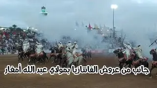 عروض التبوريدة بموسم مولاي عبد الله امغار 2024.