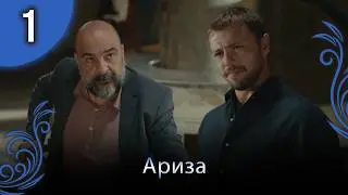 Ариза | Pаздел 1