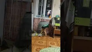 есть попадание