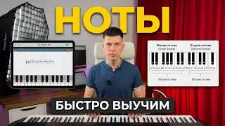 ✅🎹НОТНАЯ ГРАМОТА ДЛЯ НАЧИНАЮЩИХ ЗА 9 МИНУТ - ТЕОРИЯ И ПРАКТИКА С ТРЕНАЖЕРАМИ