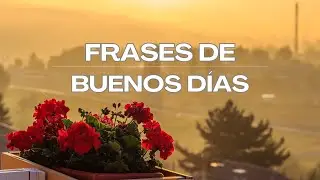 Frases de buenos días 🌞