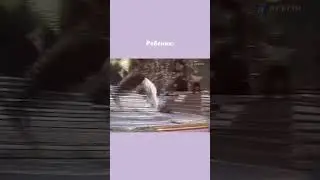 Отправляете коллегам, чтобы вместе посмеяться 😄💜