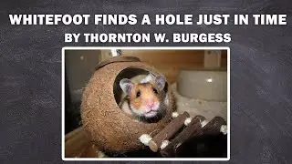 WHITEFOOT FINDS A HOLE JUST IN TIME - Whitefoot the Woodmouse / to listen the book