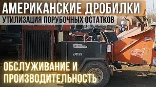 SWALLOWS TREES WHOLE / DYNAMIC DC55 CHIPPER / WOOD RECYCLING / BRANCH CHIPPER
