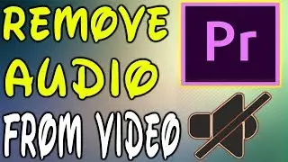 Adobe Premiere Pro CC : How To  Remove Audio From Video In Adobe Premiere Pro 2017