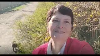 Вербное воскресенье / Поздравление