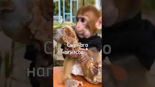 Смертельная казнь нагитса 🔪🍗 