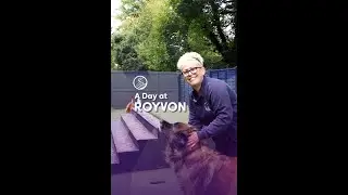 A Day at Royvon #doghotel