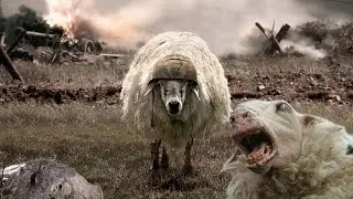 ШОК! Овца чуть не убила человека! (ArmA 3 Breaking Point)