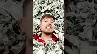 Куда вкладывался Mr.beast?