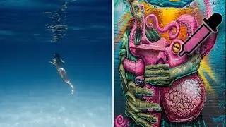How to Use the Eyedropper Tool Outside of Photoshop Tutorial