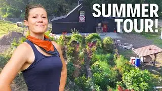 I'm Proud of This Lazy Garden! | FULL August Garden Tour 2024!