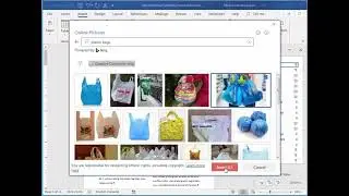 MS Word:  Table of Contents, Columns, Inserting Images
