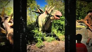 Field Station: Dinosaurs (Secaucus, NJ)