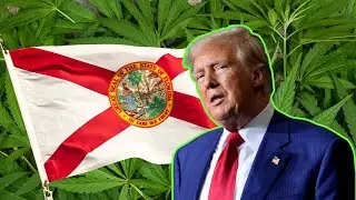 Former President Trump endorses Florida’s Amendment 3 for marijuana legalization | Action News Jax