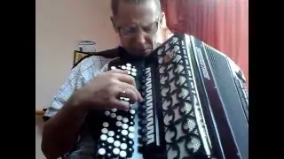 Баян немецкий 