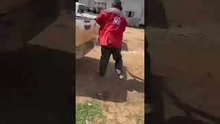 Que pecuárias bruto