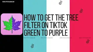 How to get the tree filter on tiktok || Green to Purple