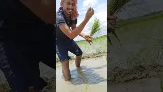 এগিয়ে যেতে হবে অচেনা পথে 🥀🥰