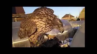 16 марта (как оно было) Pardon за опоздание!