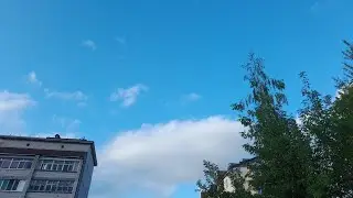 целый день с басиком и уточкой милкой