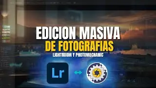 Bulk Photo Editing: How to optimize your workflow with Lightroom and Photomechanic