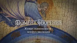 МОМЕНТ ТВОРЕНИЯ. Живая окаменелость - конфуз эволюции