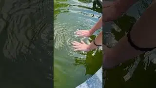 кормим рыбак.