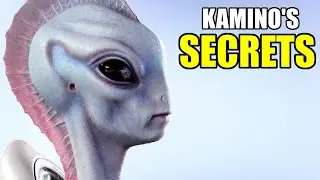 The Dark and Twisted Society of Kamino is a Lesson on the Pursuit of Perfection