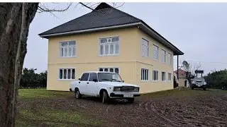Astara Suvi Toyu 2024