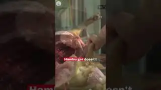 "Ham" in Hamburger: A Culinary Mystery Solved 🍔