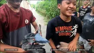 BALAP MERPATI SERU SERUAN BARENG BOCIL