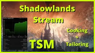 Shadowlands Gold Making + TSM Setup + Old World Tailoring