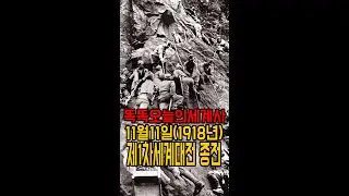11월11일(1918년) 제1차세계대전 종전#shorts