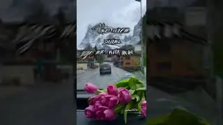 В жизни важны только те...