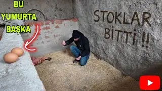 STOKLAR BİTİYOR ! ŞİMDİ NE OLACAK!! İKİ YILLIK GÜBRE..BU YUMURTA NASIL BÖYLE