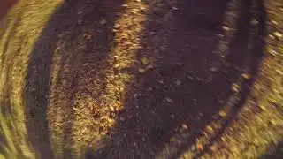 Fall colors AvgJFPV