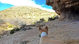 Lincoln National Forest and Carlsbad Caverns during Government Shutdown (01/11/2019)