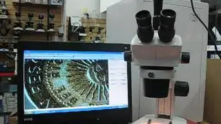 Microscopio estereoscópico Trinocular Schonfeld Optik® modelo XTD 217 T