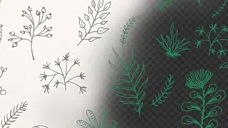 Remove background from a paper sketch - Pixelmator Pro tutorial