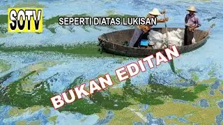 Dikira Editan, Padahal Asli! Inilah 10 Foto Tidak Masuk Akal Yang Terpotret Secara Kebetulan