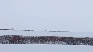 Аргиш оленеводов на зимние стойбища / Argish of reindeer herders at winter camps