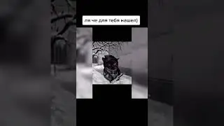 бери