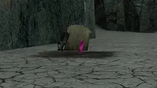 fuschia