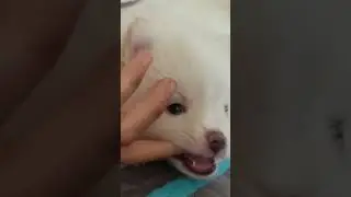 #noticias