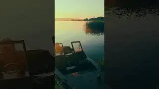 25 августа 2024 г.