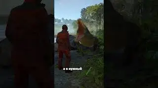 Крокодилы в расте - обновление rust 